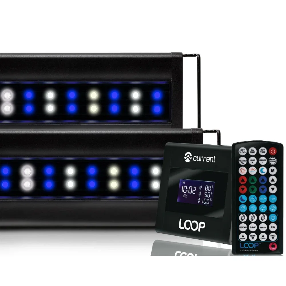 Orbit Marine 72" IC LOOP PRO Dual LED System w/HUB (4228) - Current USA