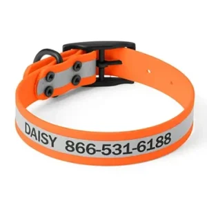 Orvis Waterproof Dog Collar