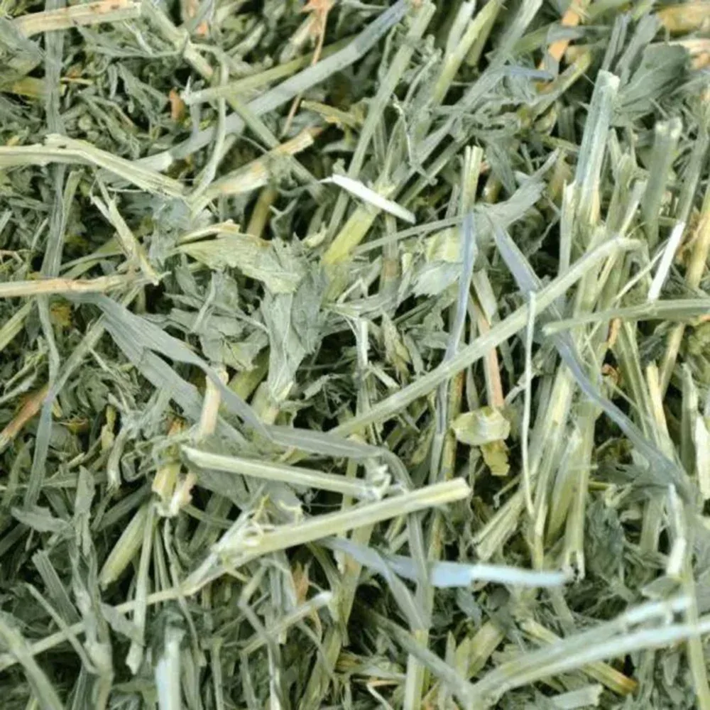 Oxbow Alfalfa Hay Dry Food for Rabbits, Hamsters and Guinea Pigs - Image 2