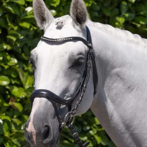 Palazzo Anatomical Snaffle Bridle Black
