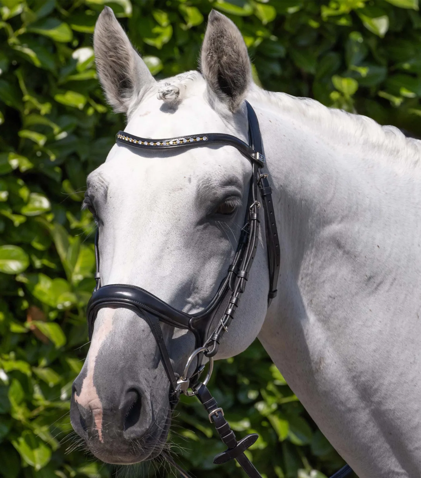 Palazzo Anatomical Snaffle Bridle Black