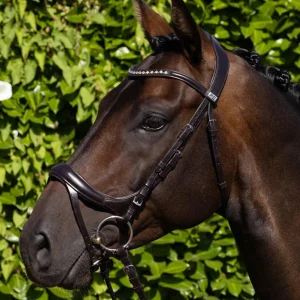 Palazzo Anatomical Snaffle Bridle Brown