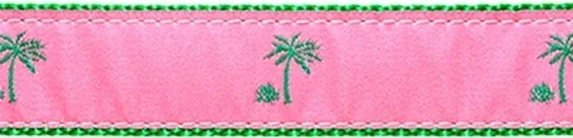 Palm Tree on Pink
