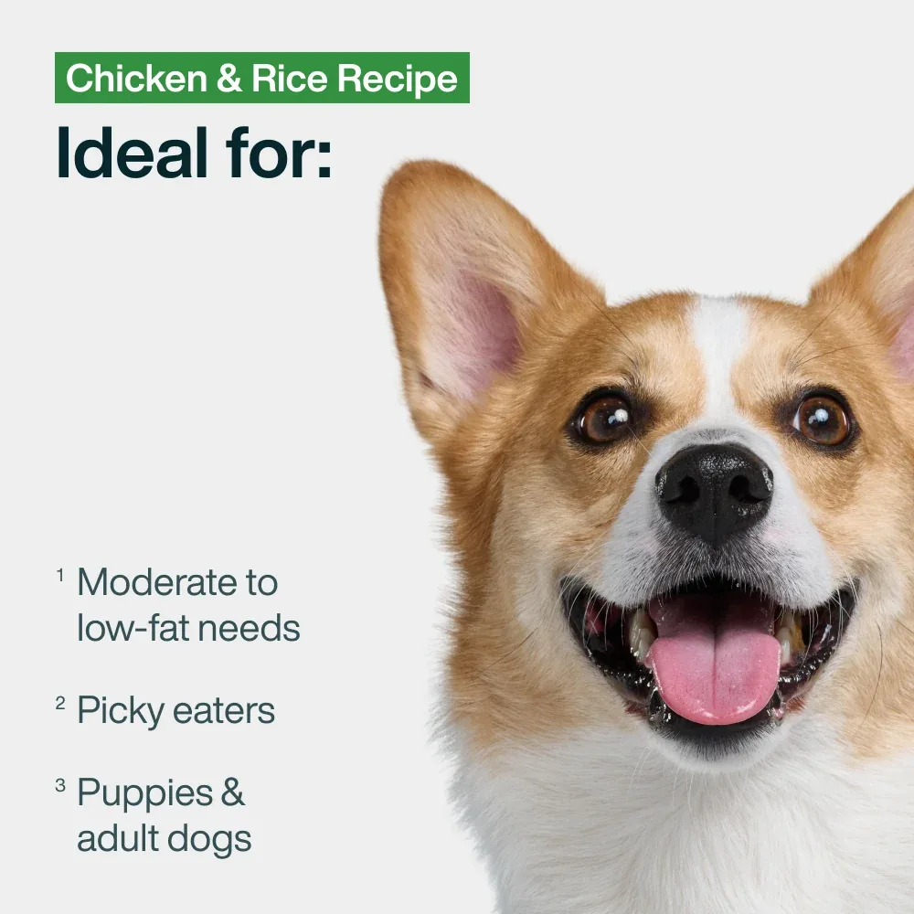Pantry Fresh Chicken & Rice - Image 2