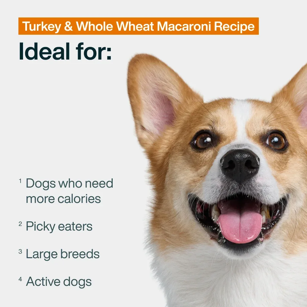 Pantry Fresh Turkey & Whole Wheat Macaroni - Image 2