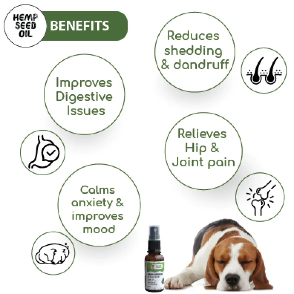 Papa Pawsome Hemp Seed Oil for Dogs - Image 2