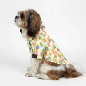 Pawgypets Balloon Casual Shirt for Dogs (Lime Green)