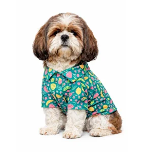 Pawgypets Fruity Casual Shirt for Dogs (Green)
