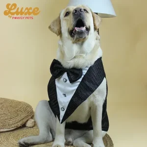 Pawgypets Luxe Shimmering Bowtie Tuxedo for Dogs and Cats (Black)