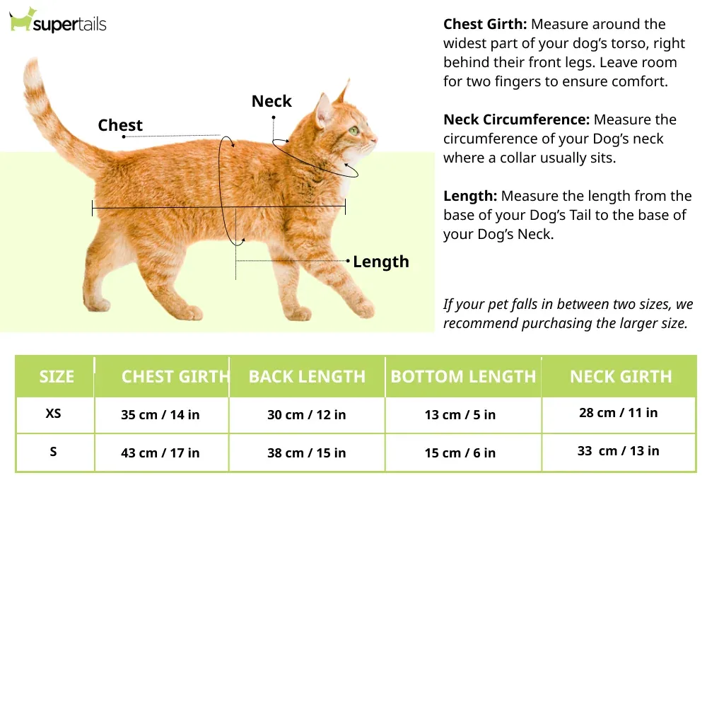Pawsindia Chennai Super Pups T20 Pets Premier League Jersey for Cats | Indian Pet League - Image 2