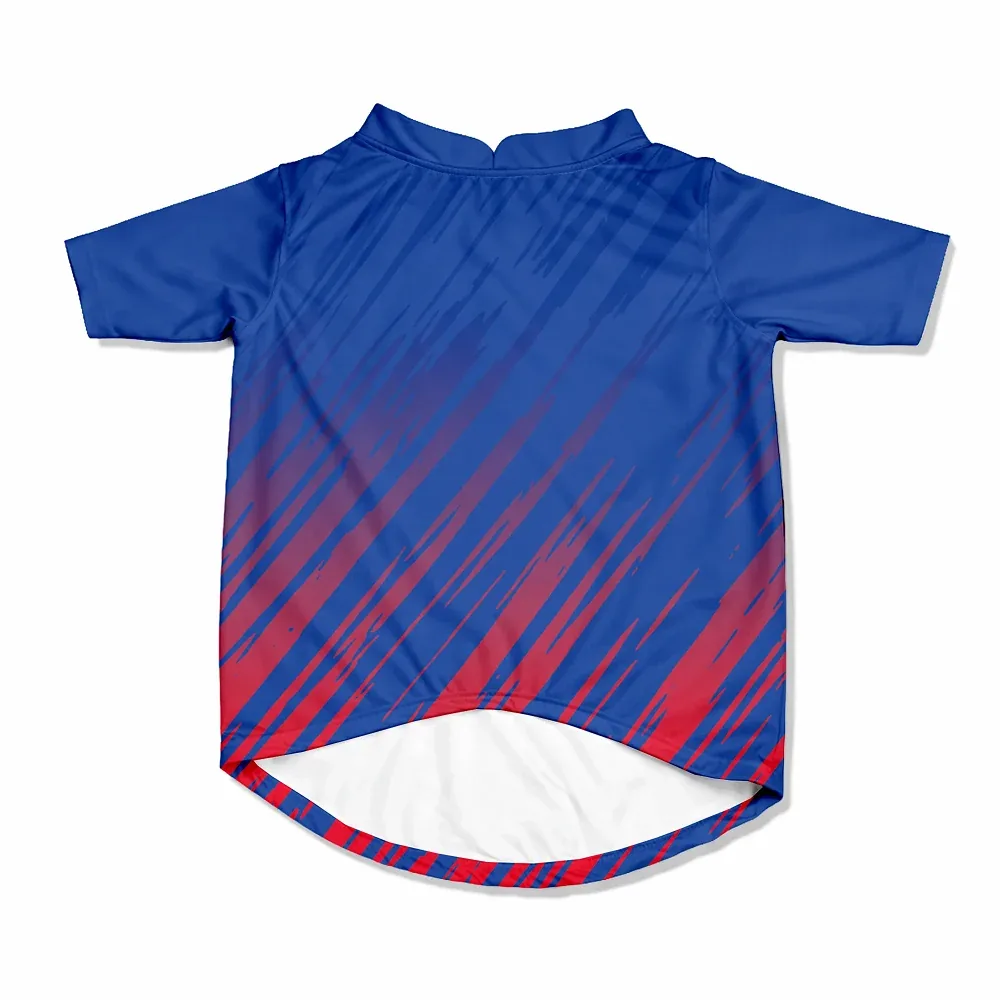 Pawsindia Delhi Canines T20 Pets Premier League Jersey for Cats | Indian Pet League - Image 2
