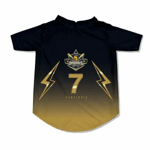 Pawsindia Gujarat Doggies T20 Pets Premier League Jersey for Cats | Indian Pet League