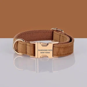 Pawsome Pets Adjustable Nylon Dog Collar #1 - Quick-Release Buckle for Secure Fit