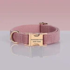 Pawsome Pets Adjustable Nylon Dog Collar #12 - Quick-Release Buckle for Secure Fit