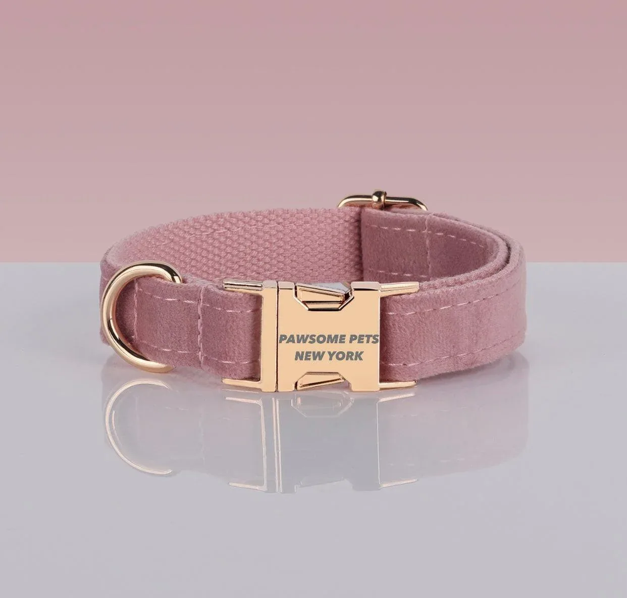 Pawsome Pets Adjustable Nylon Dog Collar #12 - Quick-Release Buckle for Secure Fit