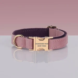 Pawsome Pets Adjustable Nylon Dog Collar #13 - Quick-Release Buckle for Secure Fit