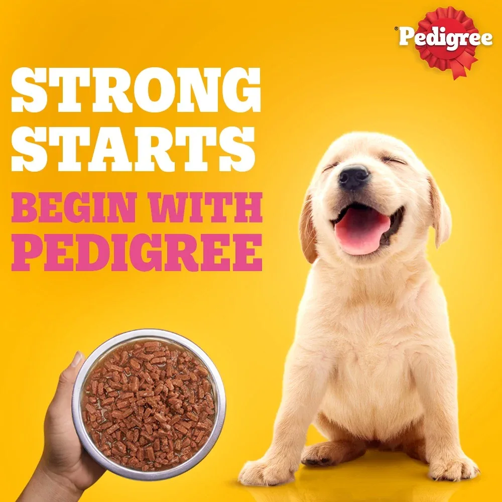 Pedigree Lamb Flavour Chunks in Gravy Puppy Wet Food - Image 2