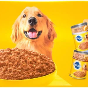 Pedigree Pate Chicken, Beef, Bacon and Cheese Multi-Pack Canned Dog Food - 13.2 oz - Case of 18