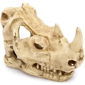 Penn-Plax Rhino Skull Reptile Enclosure Decor