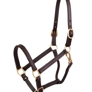 Perri’s® 3/4" Premium Leather Show Halter