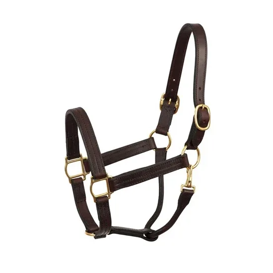 Perris Leather Heavy Weight Track Halter - Image 2