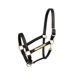 Perri's Personalized 1" Turnout Halter