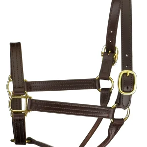 Perri’s® Premium Track Style Show Halter