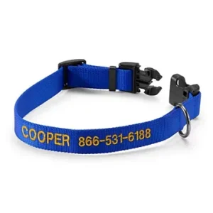 Personalized Side-Release Buckle Collar & Leash