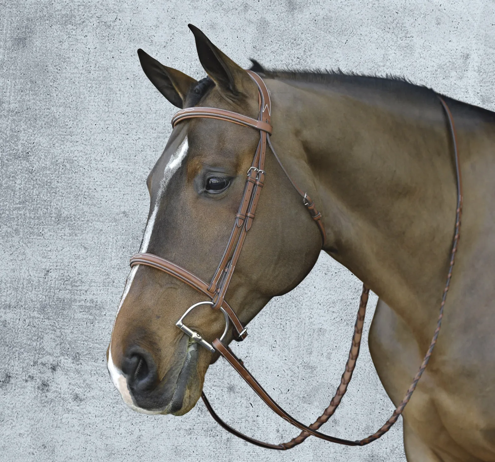 Pessoa® Pro Fancy-Stitched Raised Bridle