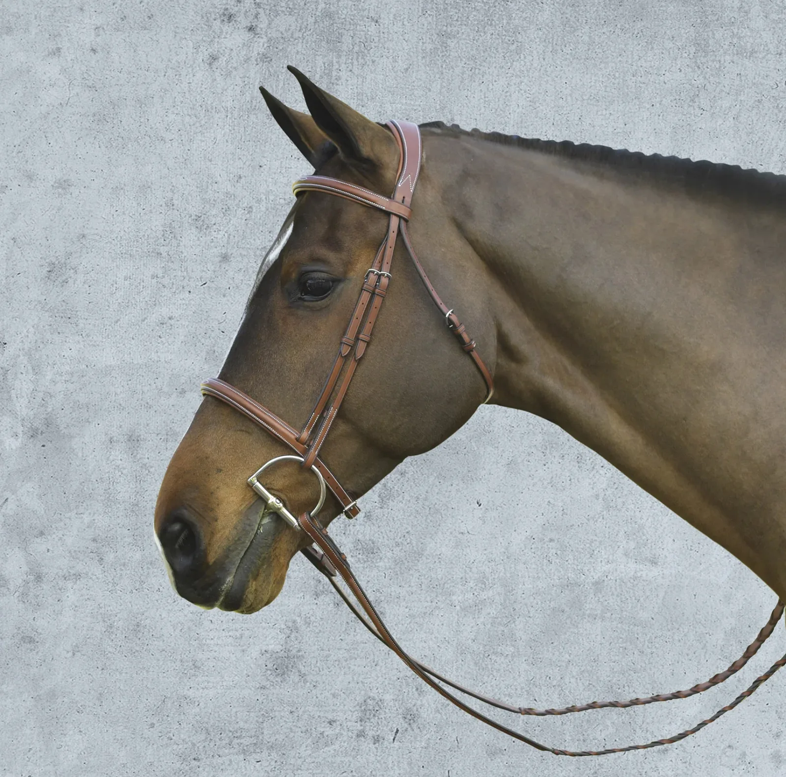 Pessoa® Pro Fancy-Stitched Raised Bridle - Image 2
