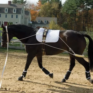 Pessoa Training System