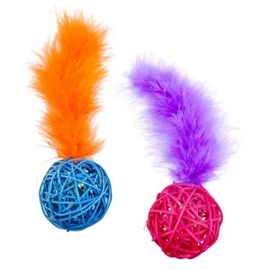Pet Park Blvd Wicker Ball Toys