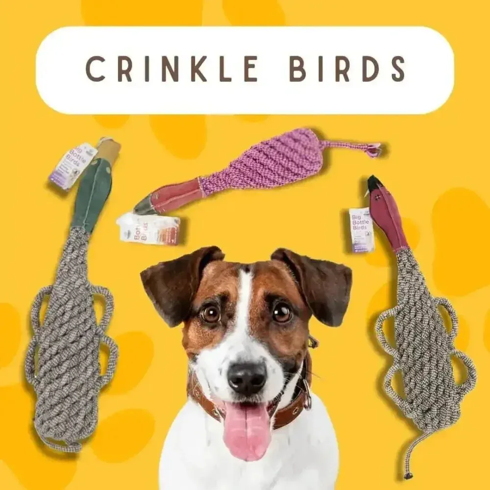 Pet-Safe Bird Toys for Dogs Made from Recycled Materials