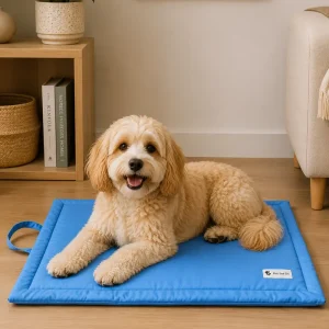Pet Set Go Coloured Mat for Dogs (Blue)