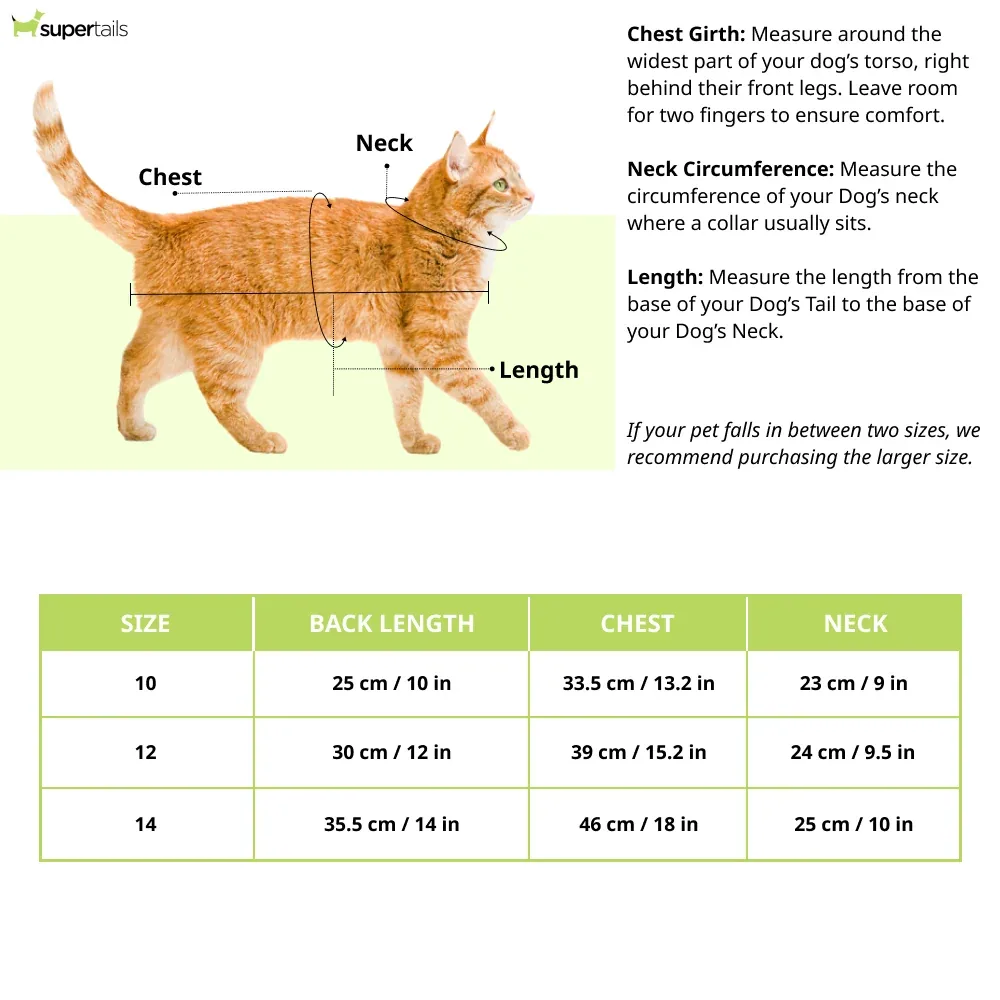 Pet Set Go Prince Has Arrived T-shirt for Cats (Orange/Black) - Image 2