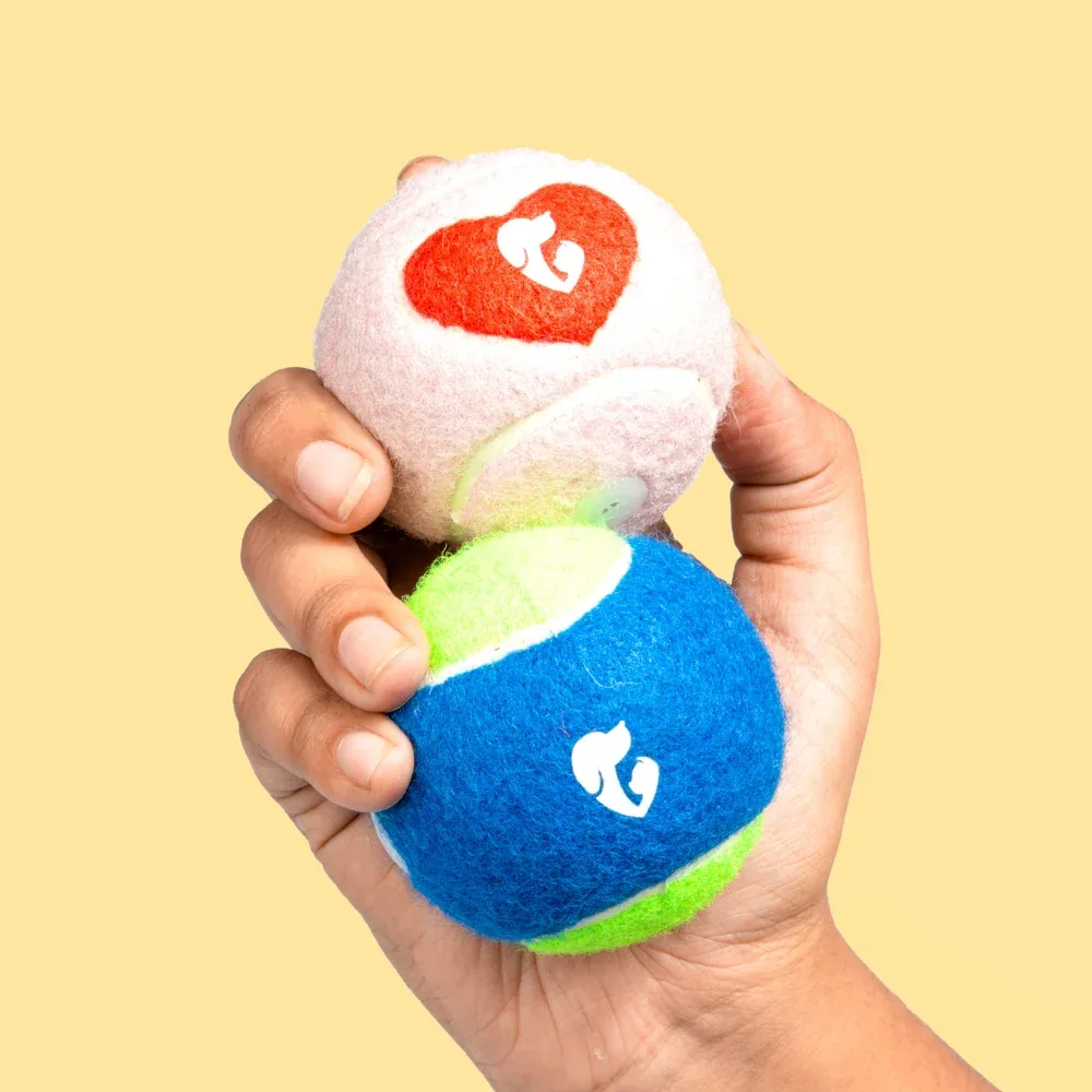 Pet Set Go Squeak Ball Toy for Dogs (Pink) - Image 2