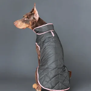 Pet Set Go Wind Sheeter Jackets for Dogs (Black)
