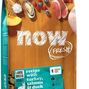 Petcurean NOW FRESH Grain-Free Large Breed Adult Recipe Dry Dog Food - 12 lb Bag