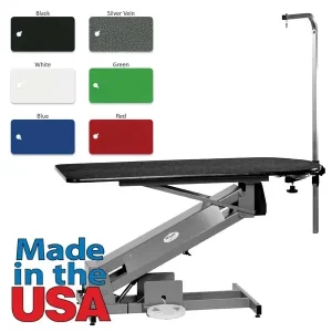PetLift MasterLift Deluxe Fixed Top Electric Dog Grooming Table 54x24 Black
