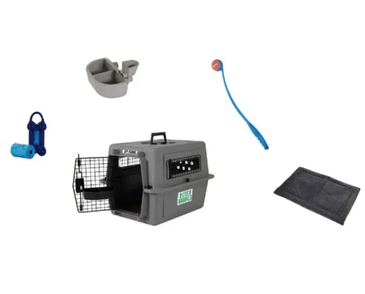Petmate Essential New Dog Bundle