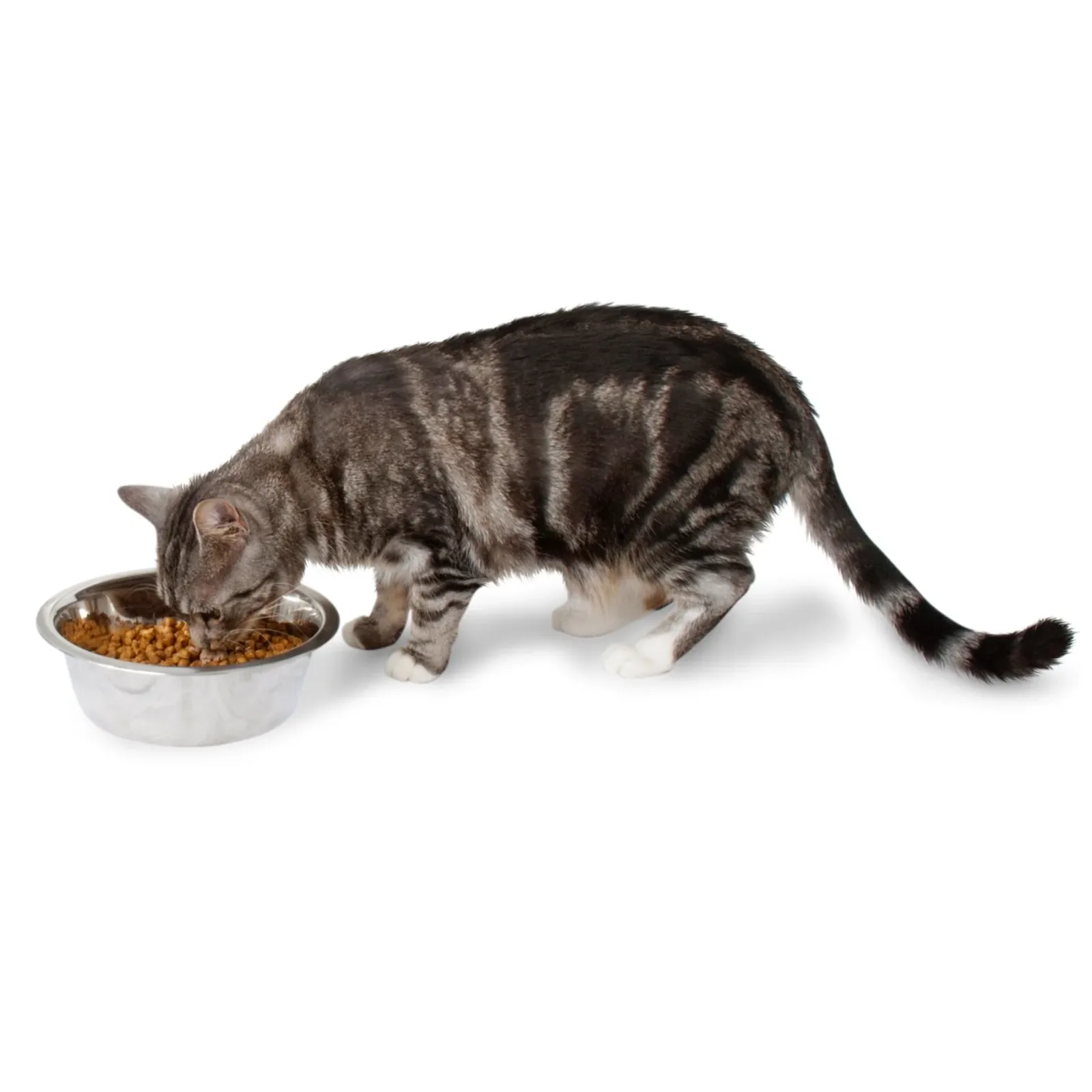 Petmate Stainless Steel Bowl - Image 2