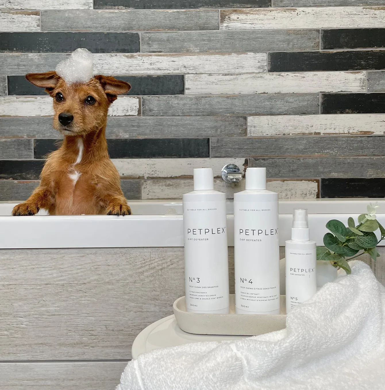 PetPlex Dirt Defeater Collection - Image 2