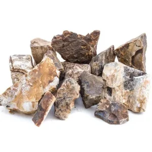 Petrified Wood