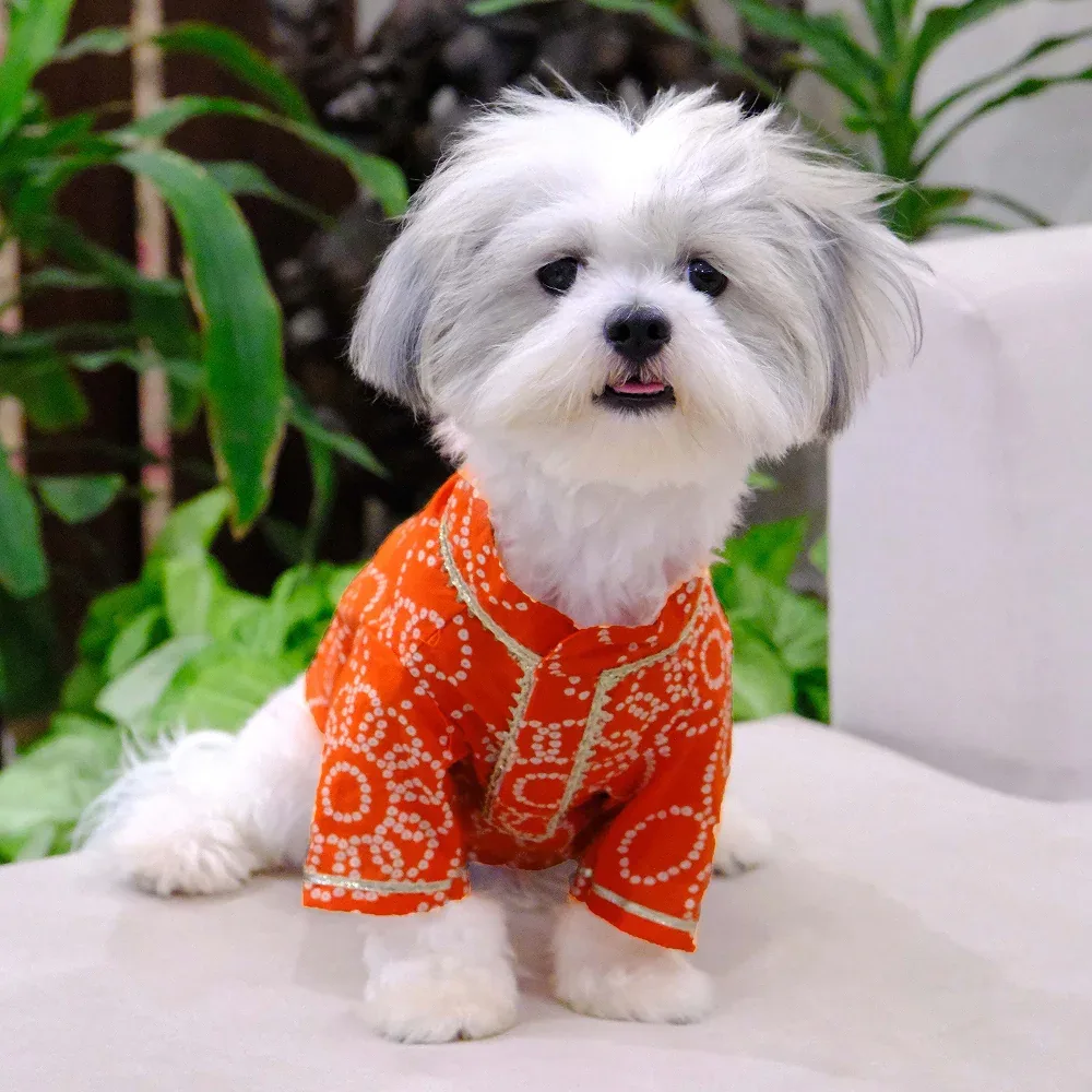 Pets Way Bandhani Print Kurta for Dogs (Rust)
