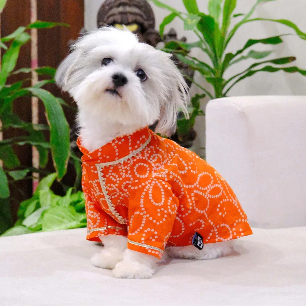 Pets Way Bandhani Print Kurta for Dogs (Rust) - Image 2