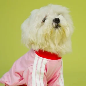 Pets Way Dive In Stripes Tshirt for Dogs (Blush)