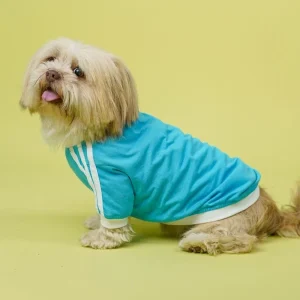 Pets Way Dive In Stripes Tshirt for Dogs (Ocean)