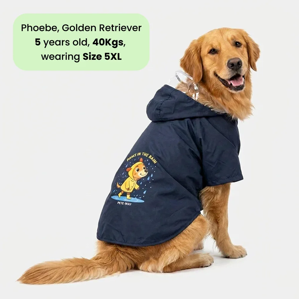 Pets Way Mistiq Coal Paw In The Rain Raincoat for Dogs - Image 2