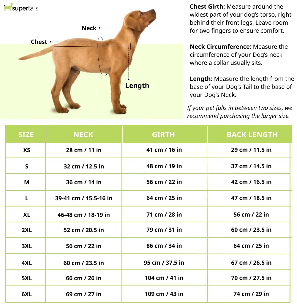 Pets Way Sniffer Barkball Tshirt for Dogs (Blue/White) - Image 2