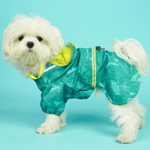 Pets Way TPU Raincoat with Cap for Dogs (Haze Teal)